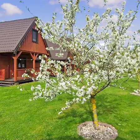 Lovely In Ko1czewo